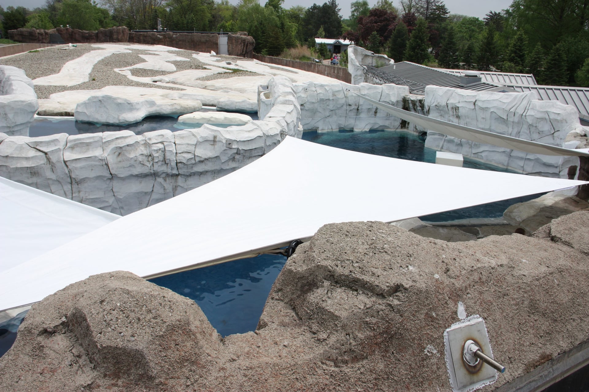 Outdoor zoo exhibit with artificial rocky terrain and a pool